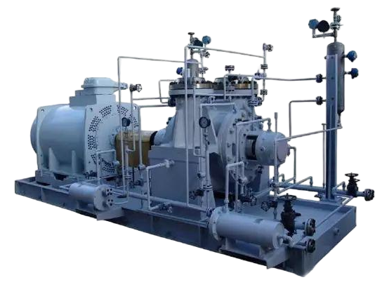 BB2 Heavy Duty Petrochemical Process Pump