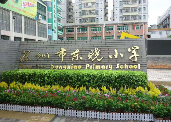东晓小学
