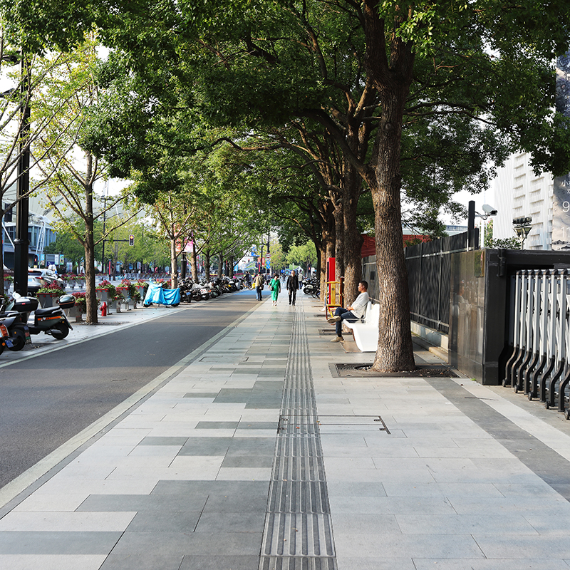 浦东新区上南路全要素精细化示范工程2