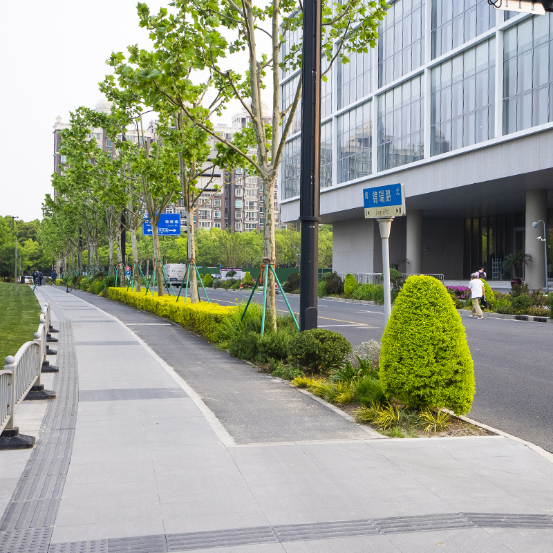 浦东新区锦绣公园周边道路及世博村路改造提升工程2