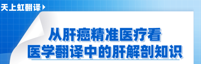 [医学翻译]-从肝癌精准医疗看医学翻译中的肝解剖知识