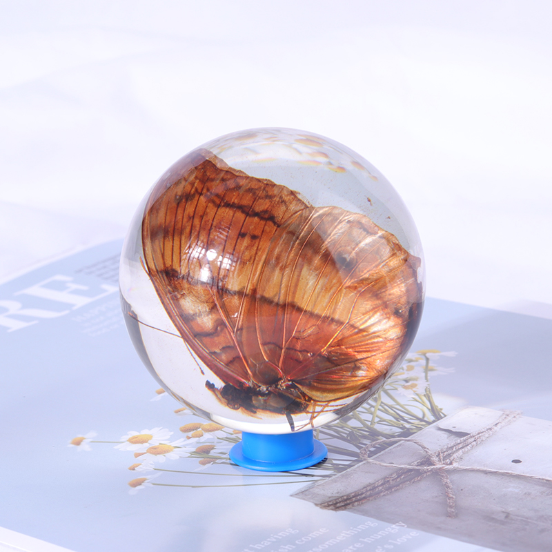 insect specimen in resin ball
