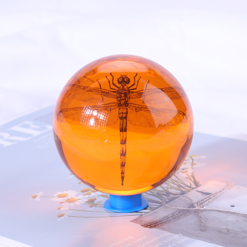 insect specimen in resin ball