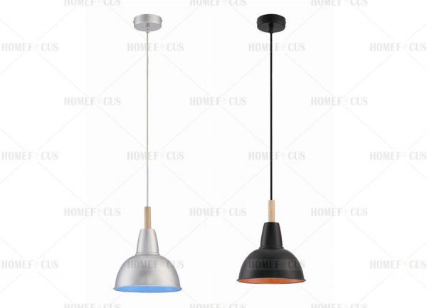 LED Pendant Light