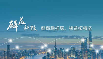上海麟益信息科技有限公司