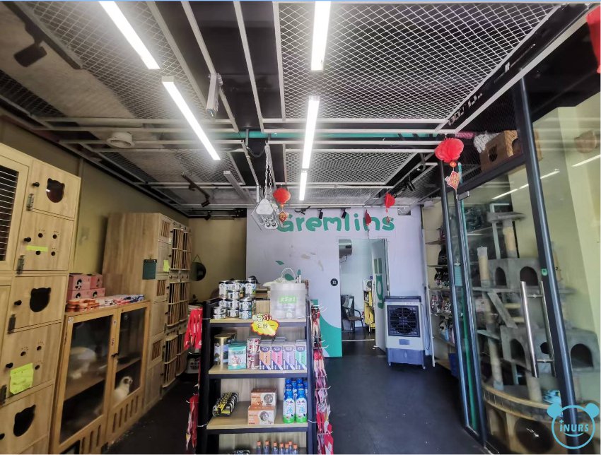 宠物店Pet Shop