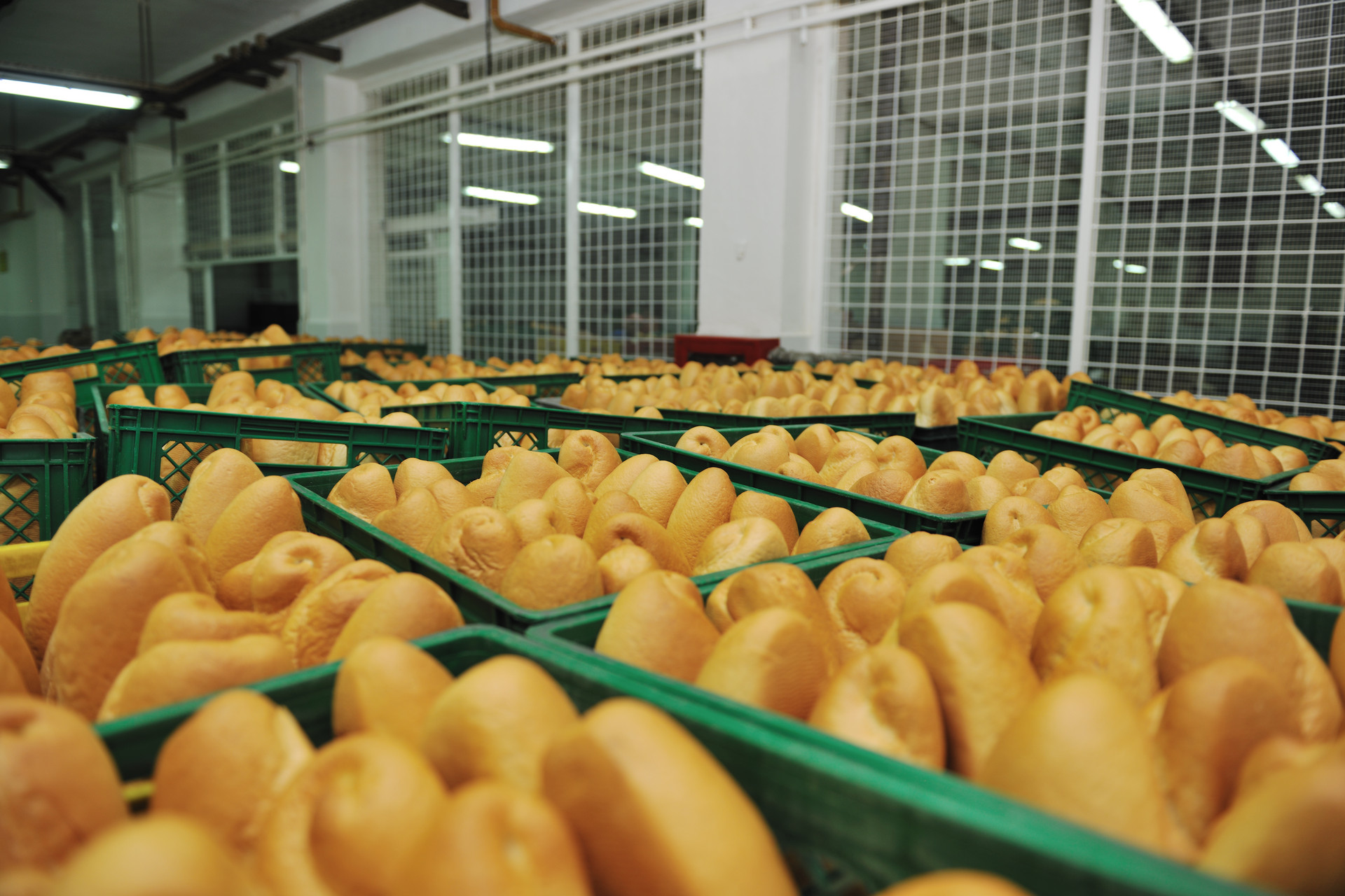 告别细菌污染：食品厂空气消毒的革新之路
