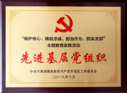 天津滨海高新区先进基层党组织