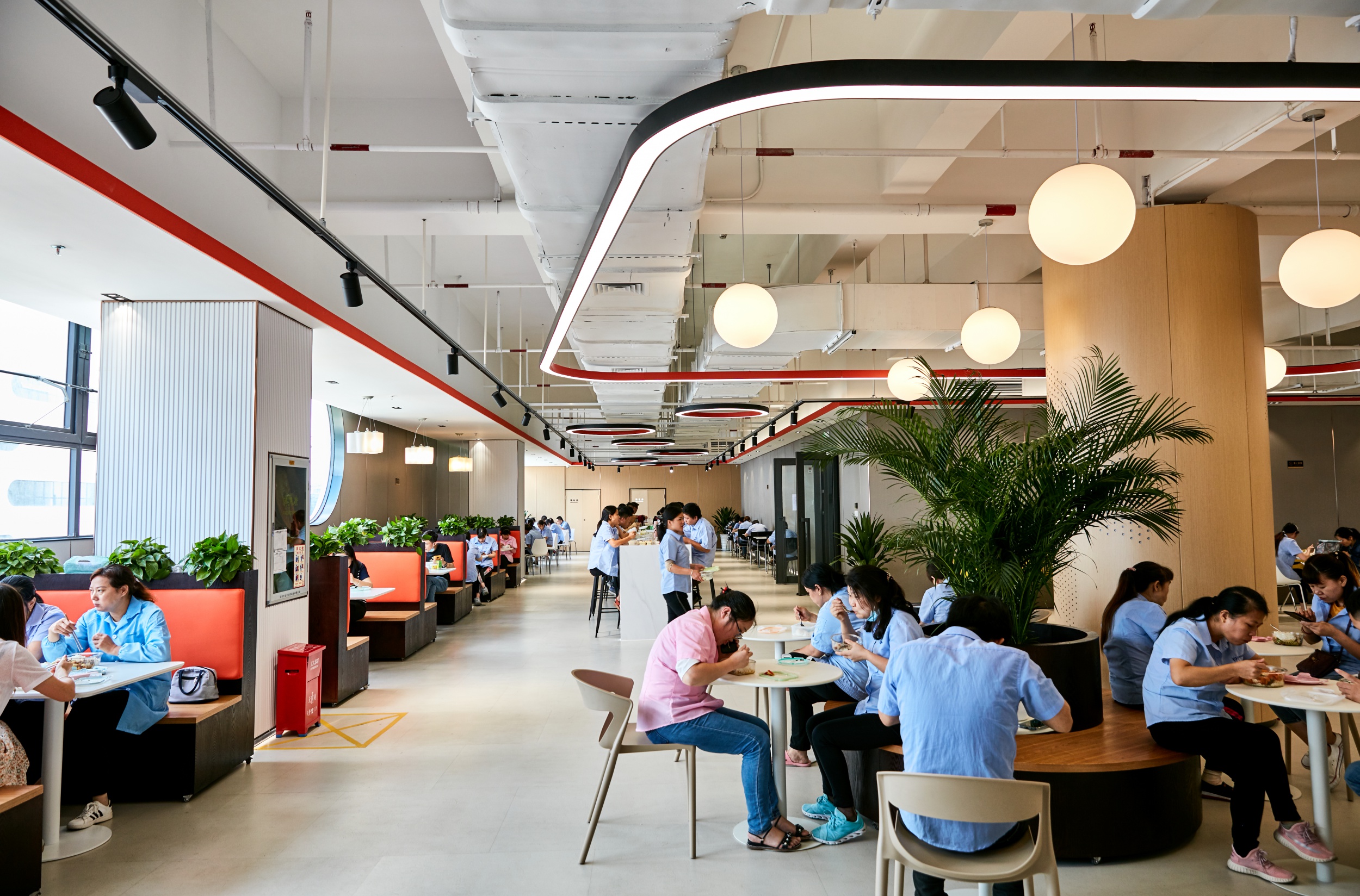 图片展示