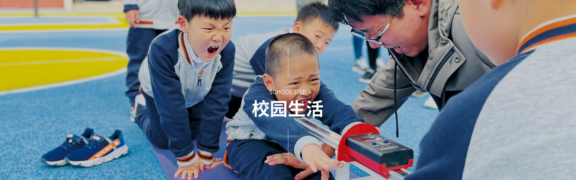 图片展示