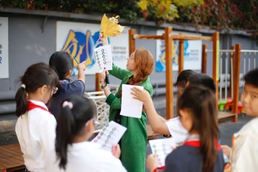 核心素养下的美术教学——打造富有生命力的美术课堂