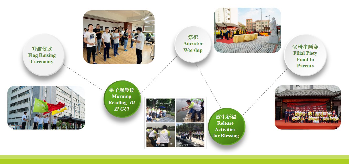 图片展示
