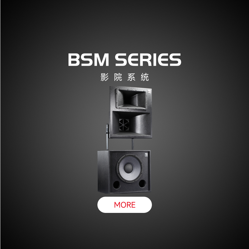 BSM Series