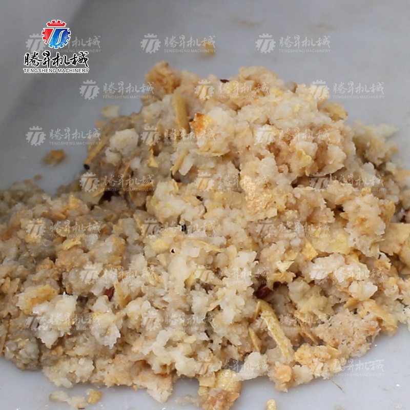 TS-GZ110 螺旋榨汁机