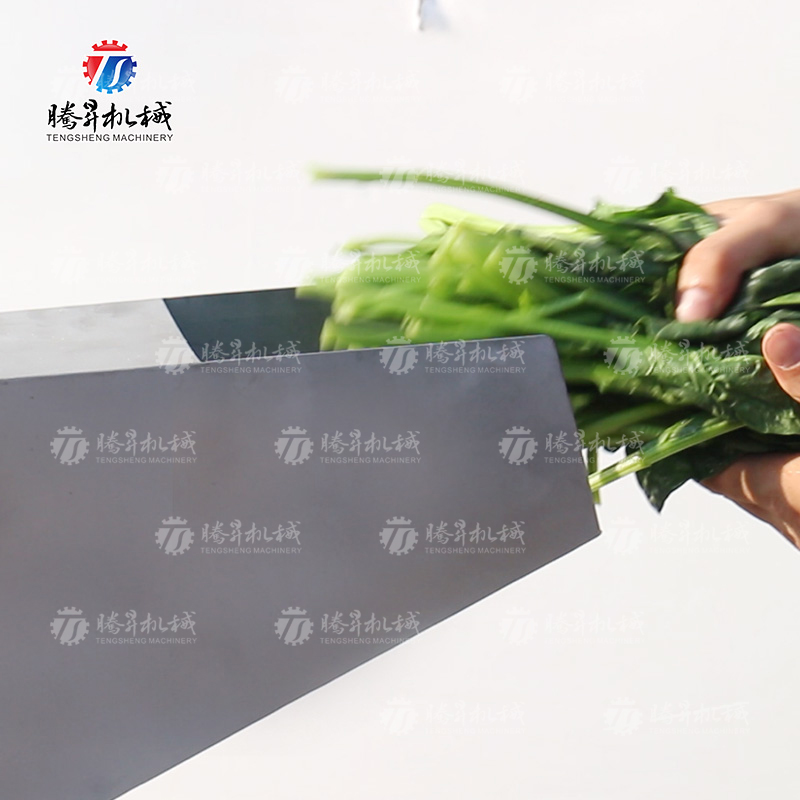 TS-GZ110 螺旋榨汁机