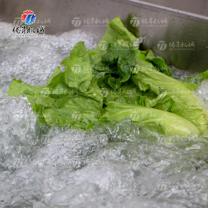 气泡清洗振动风干生产线