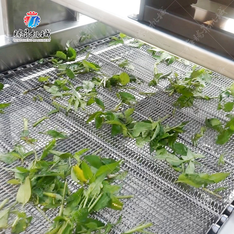 果蔬挑选气泡清洗风干生产线