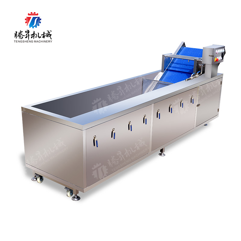 TS-X300臭氧消毒气泡洗菜机