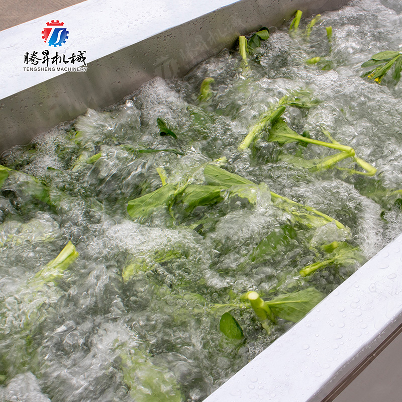 TS-X300臭氧消毒气泡洗菜机