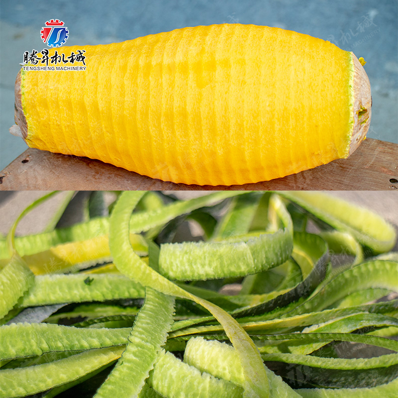 TS-P60 立式单刀削皮机