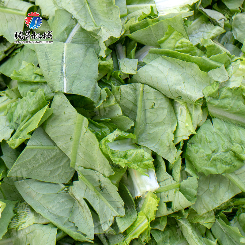 TS-Q115C 熟肉切片切菜机