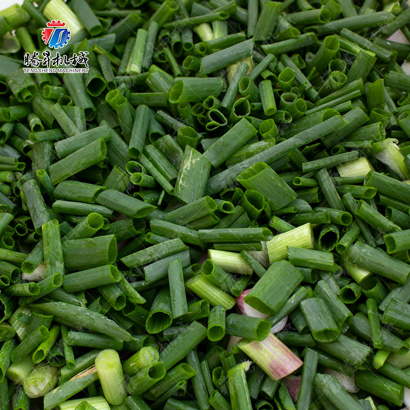 TS-Q118A 双头切菜机（可拆卸皮带）
