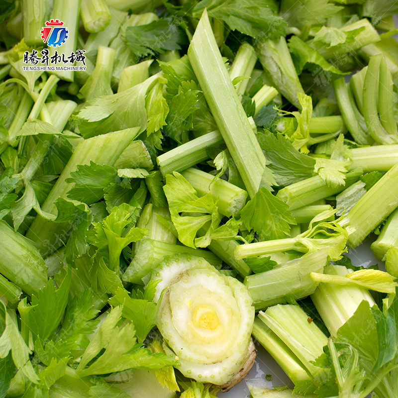 TS-Q118A 双头切菜机（可拆卸皮带）