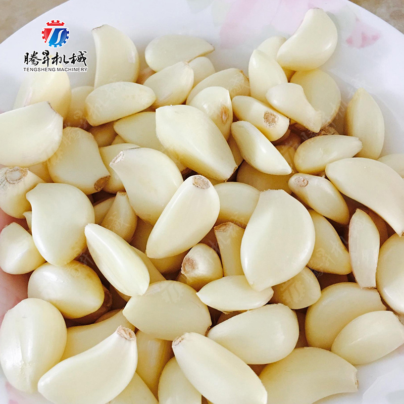 TS-T300 大蒜脱皮机
