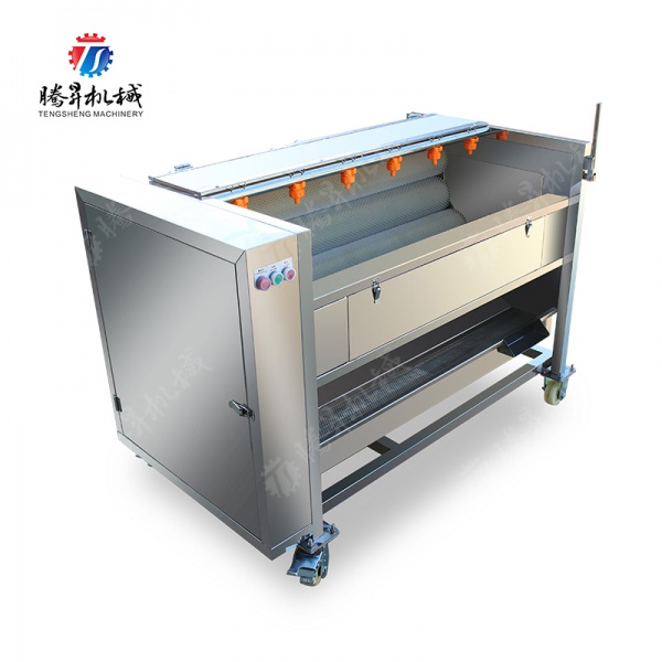 TS-M600A毛辊清洗去皮机(喷淋款)