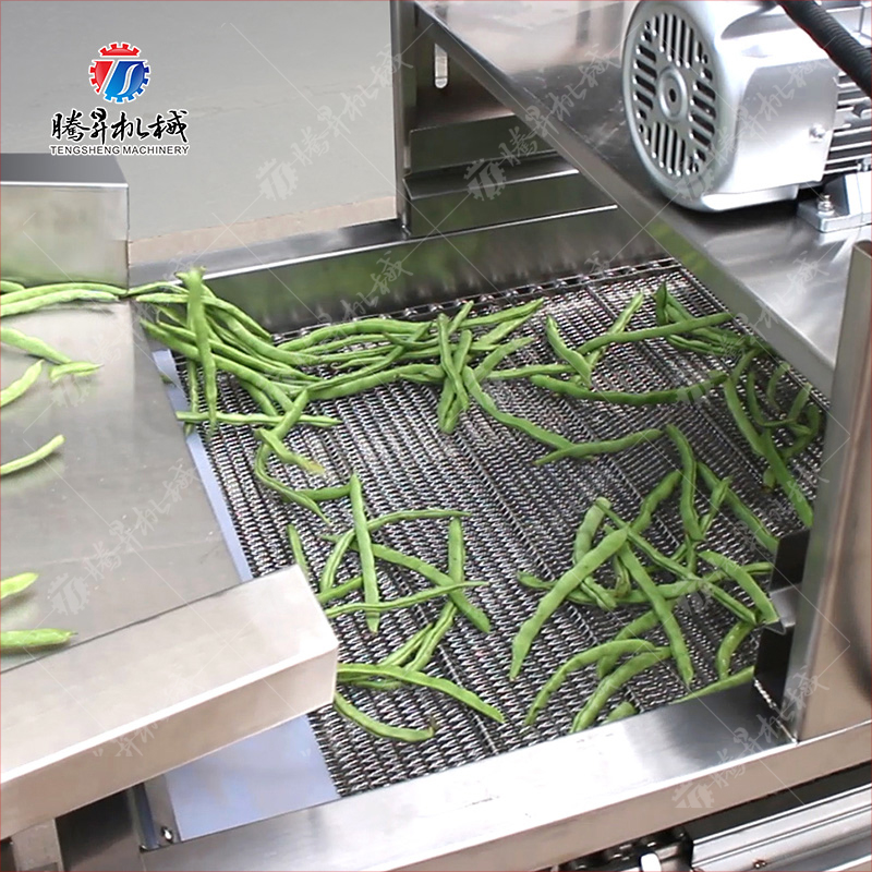 果蔬清洗振动风干生产线