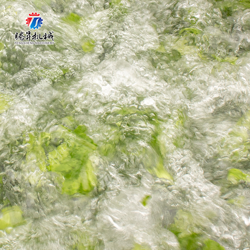 气泡清洗振动风干生产线