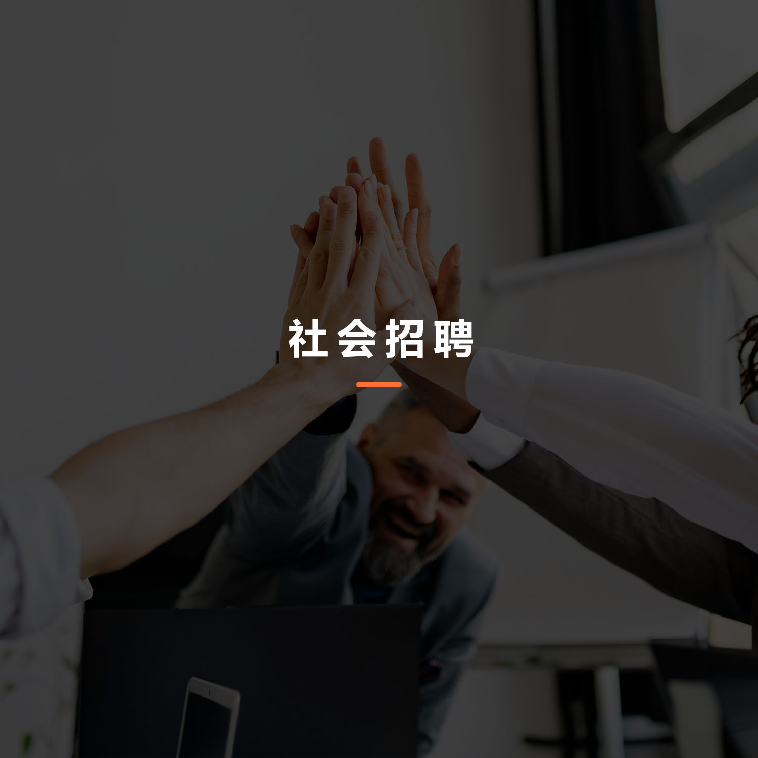 图片展示