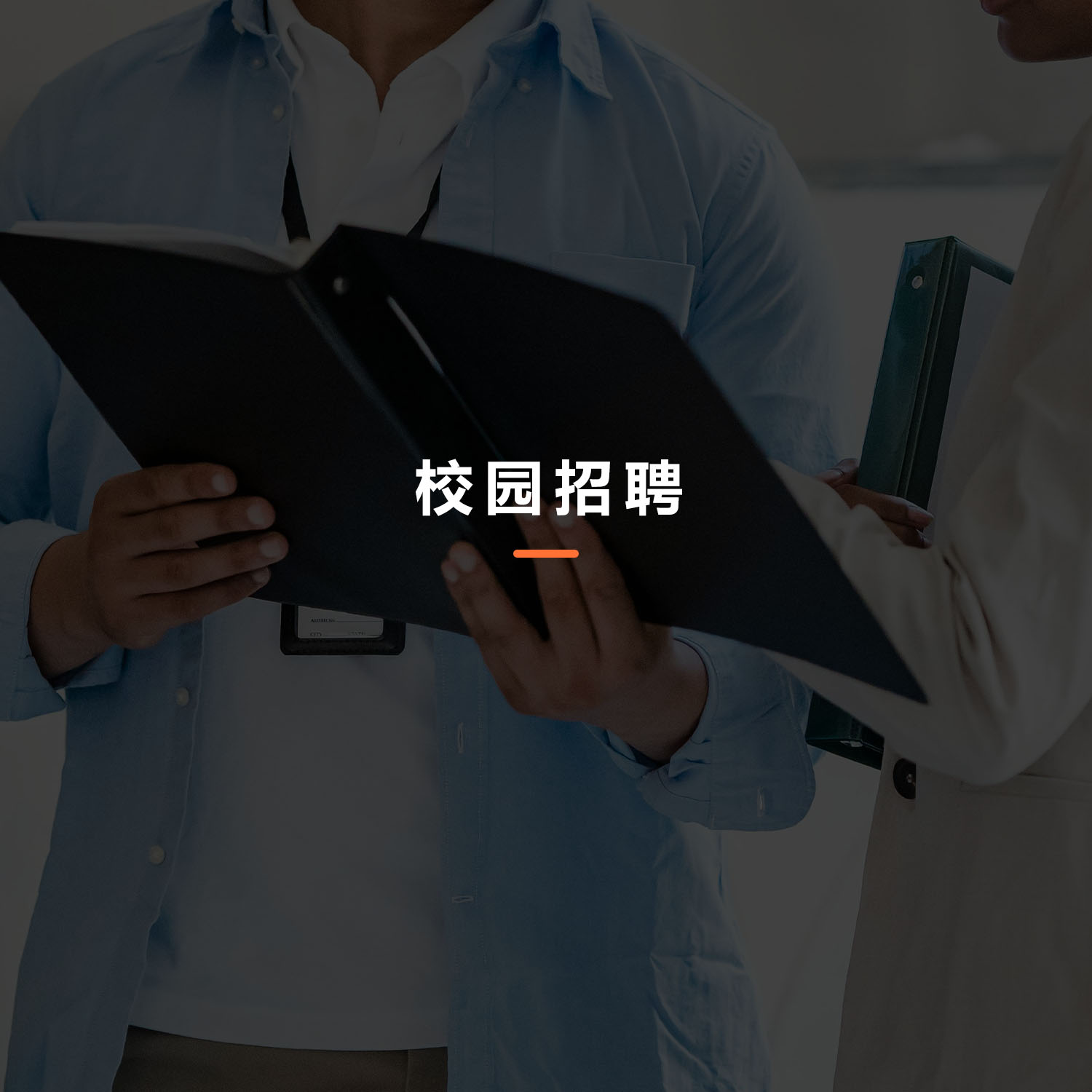 图片展示