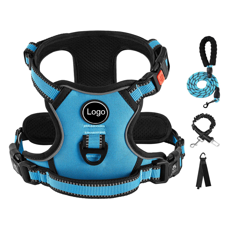 Custom dog harness set