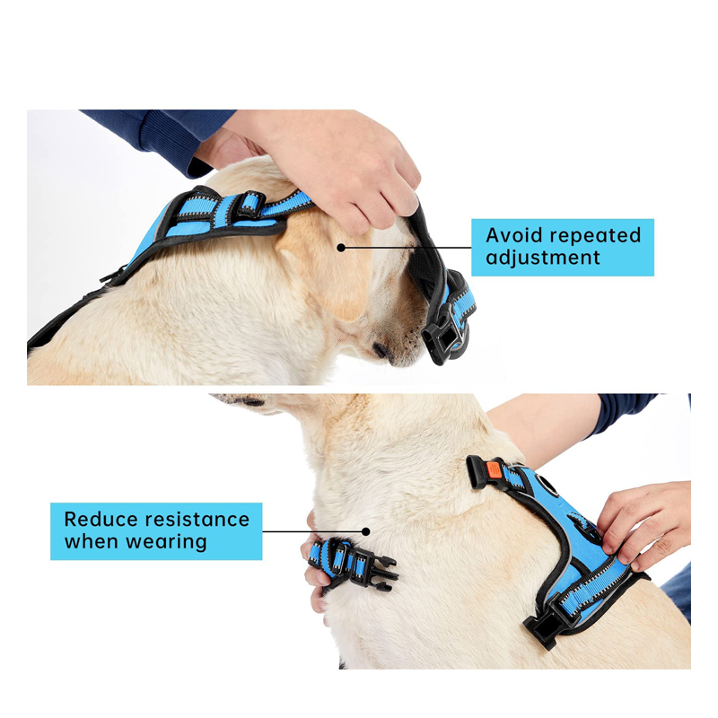Custom dog harness set