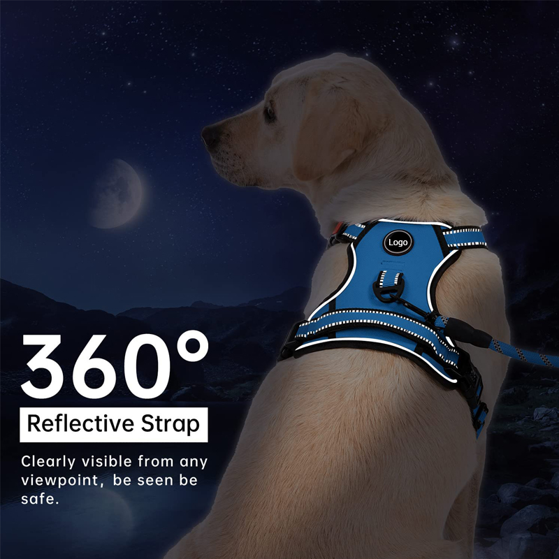 Custom dog harness set