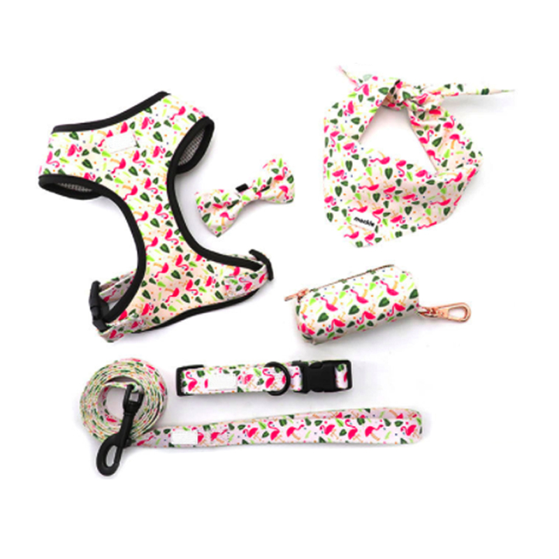 Personalized pattern on Pet harness set
