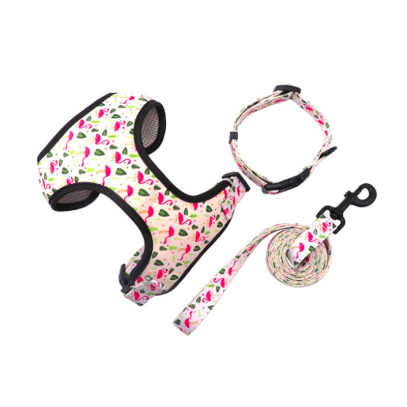Personalized pattern on Pet harness set