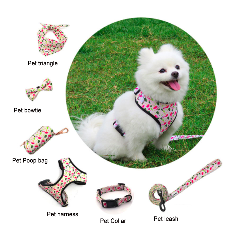 Personalized pattern on Pet harness set