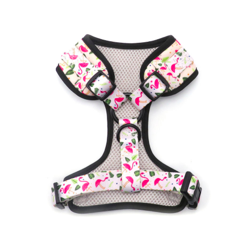Personalized pattern on Pet harness set