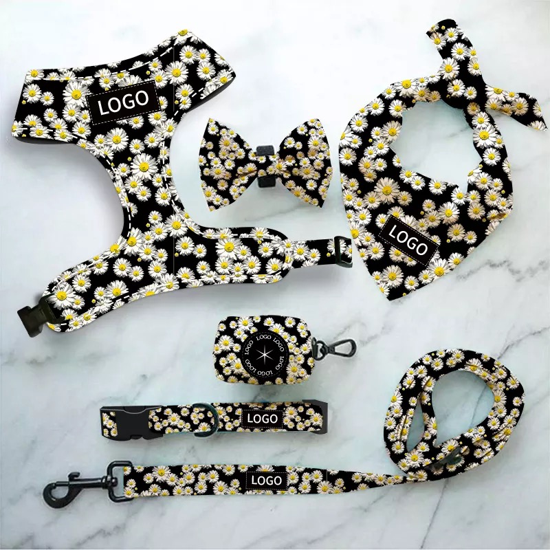 Personalized pattern on Pet harness set
