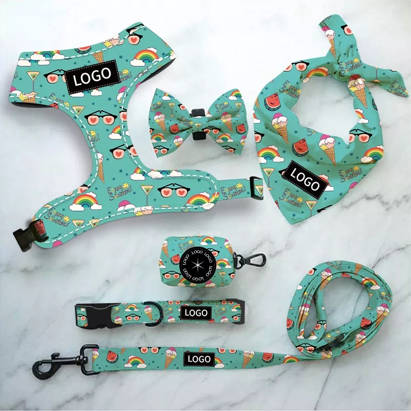 Personalized pattern on Pet harness set
