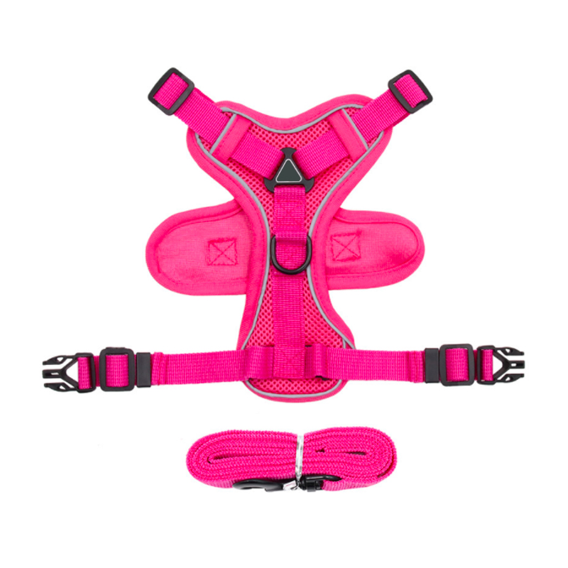  Custom Best Dog Harnesses of 2023