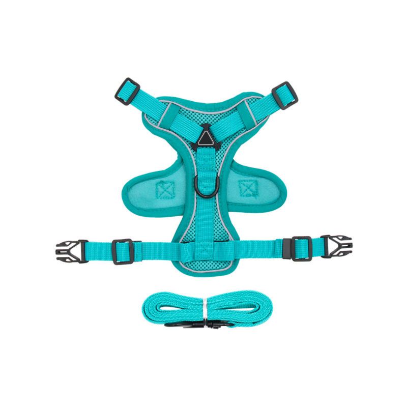  Custom Best Dog Harnesses of 2023