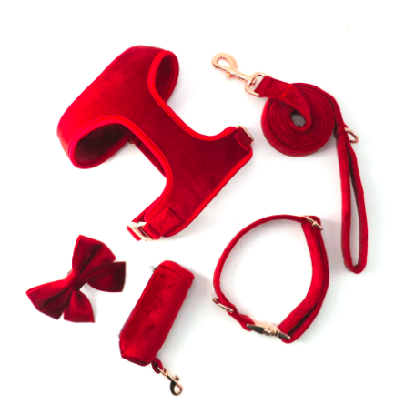 Velvet Dog Harness Personalized 5pcs/Set Pet Harness Bowtie Collar Leash Poop Bag Functional Dog Traction Set Custom Collar