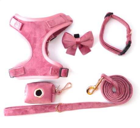 Velvet Dog Harness Personalized 5pcs/Set Pet Harness Bowtie Collar Leash Poop Bag Functional Dog Traction Set Custom Collar