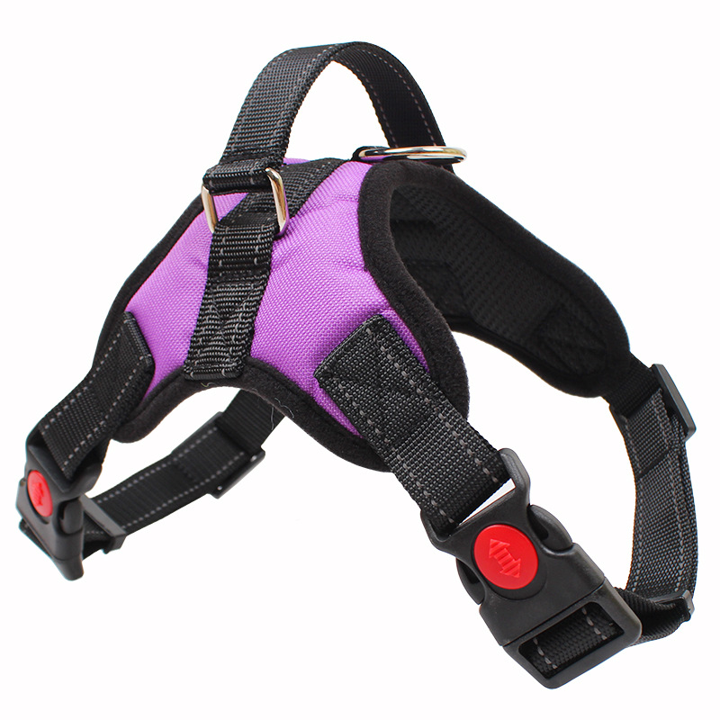 Custom step-in dog harness