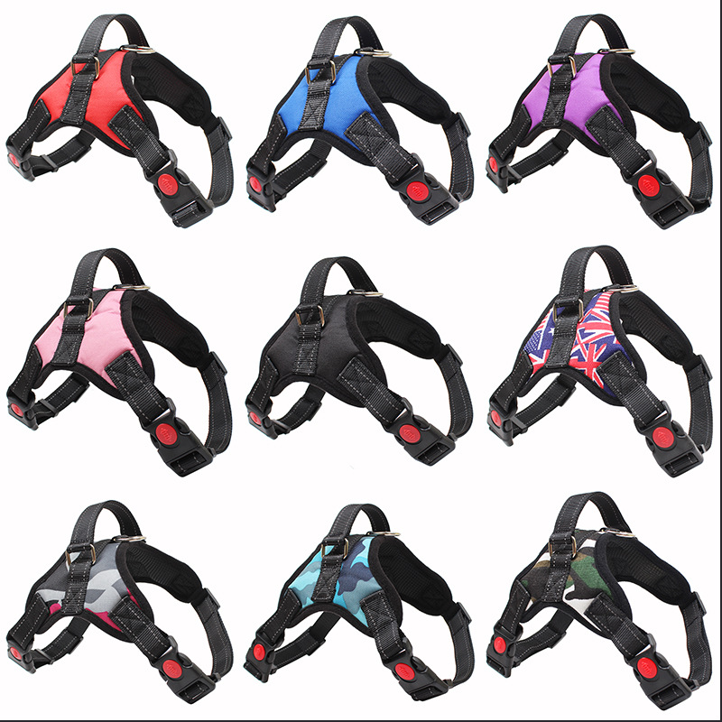 Custom step-in dog harness