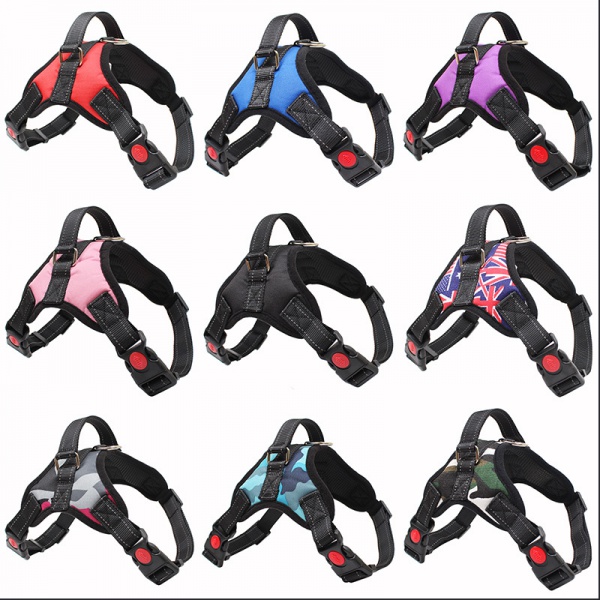 Custom step-in dog harness