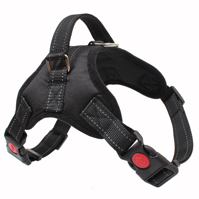 Custom step-in dog harness
